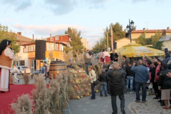 Francezii au venit la Cernavodă